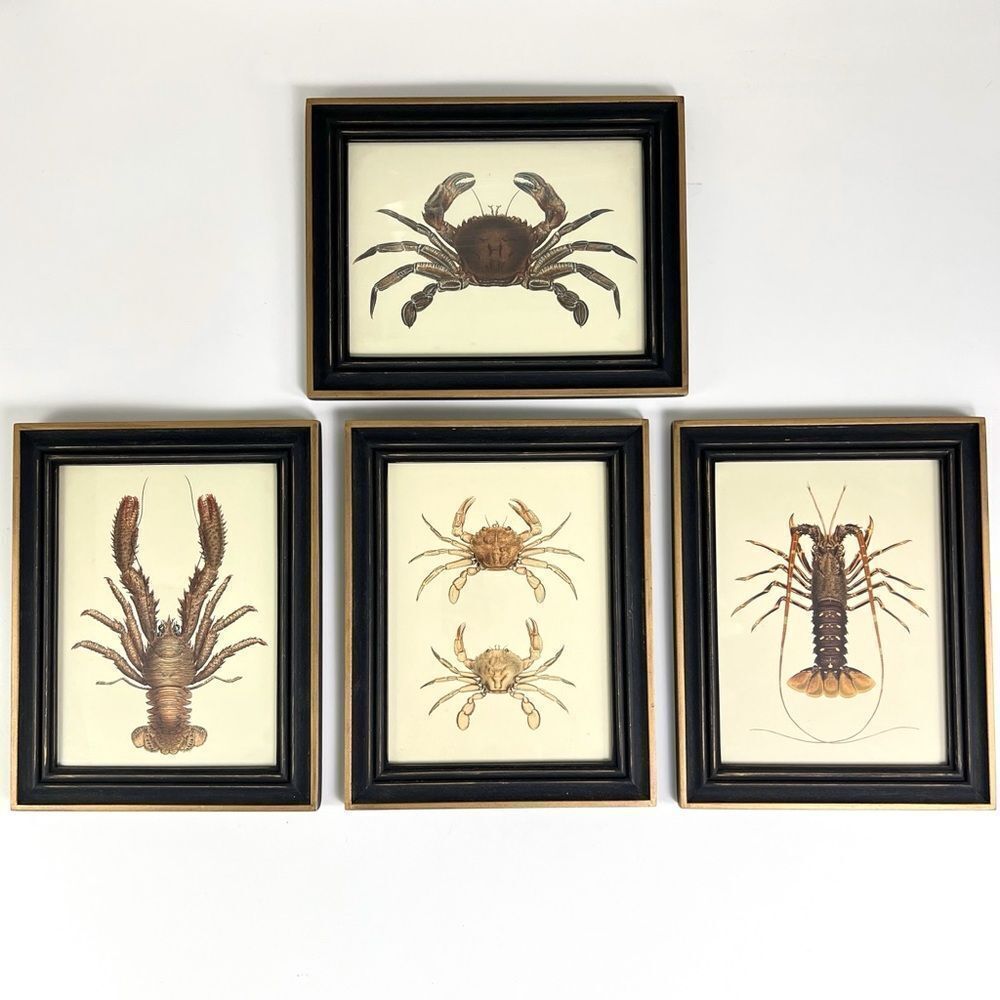 RARE 5 Maritime Coastal Sealife Prints Crab Shrimp Lobster
